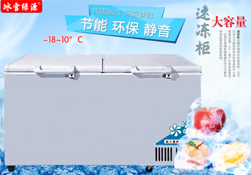 1602頂蓋雙門(mén)臥式冷凍柜